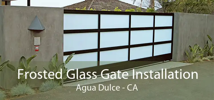 Frosted Glass Gate Installation Agua Dulce - CA