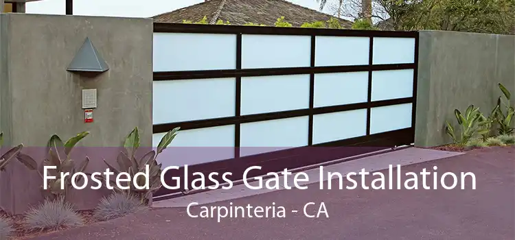 Frosted Glass Gate Installation Carpinteria - CA