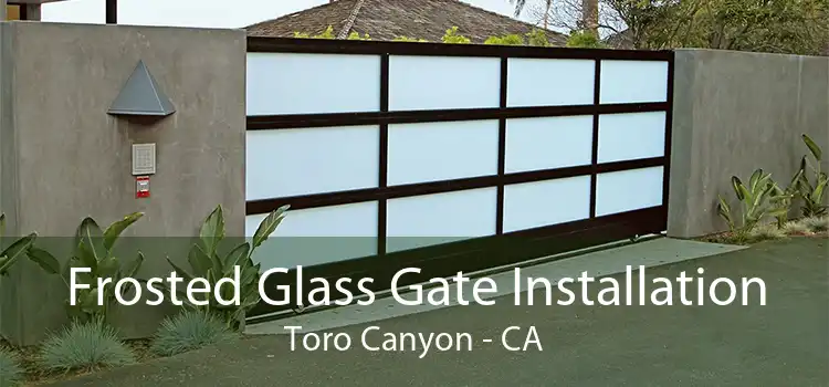 Frosted Glass Gate Installation Toro Canyon - CA