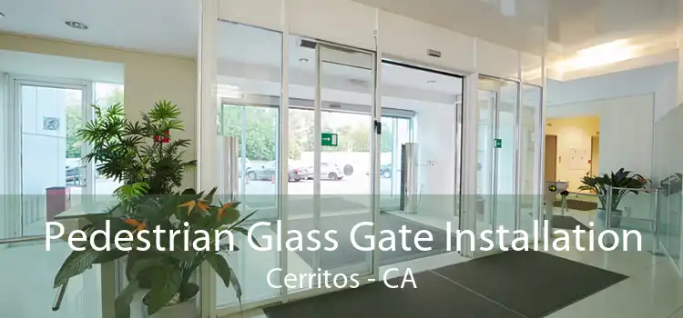 Pedestrian Glass Gate Installation Cerritos - CA