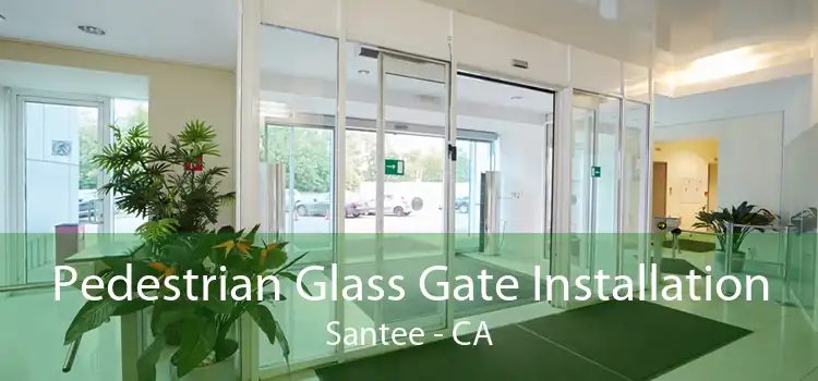 Pedestrian Glass Gate Installation Santee - CA